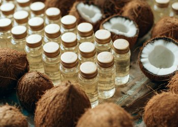 Philippines Agro-Exports: From Sugar to Coconuts in the Global Market